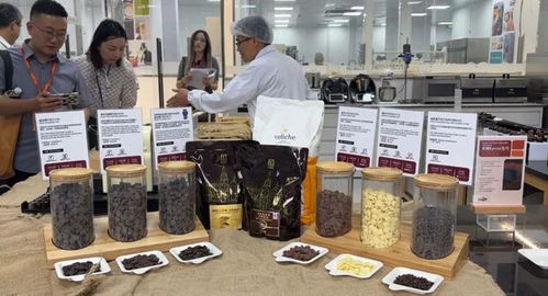 第七届进博会开幕倒计时100天,超前剧透徐汇区这些参展企业