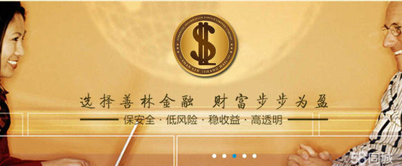善林(上海)金融信息服务