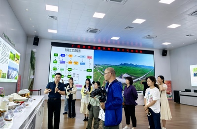 金融活水润八桂 活力乡村展宏图丨广西来宾:金融服务赋能蔗糖产业高