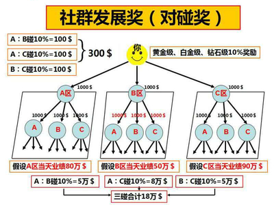 项目分哪些种